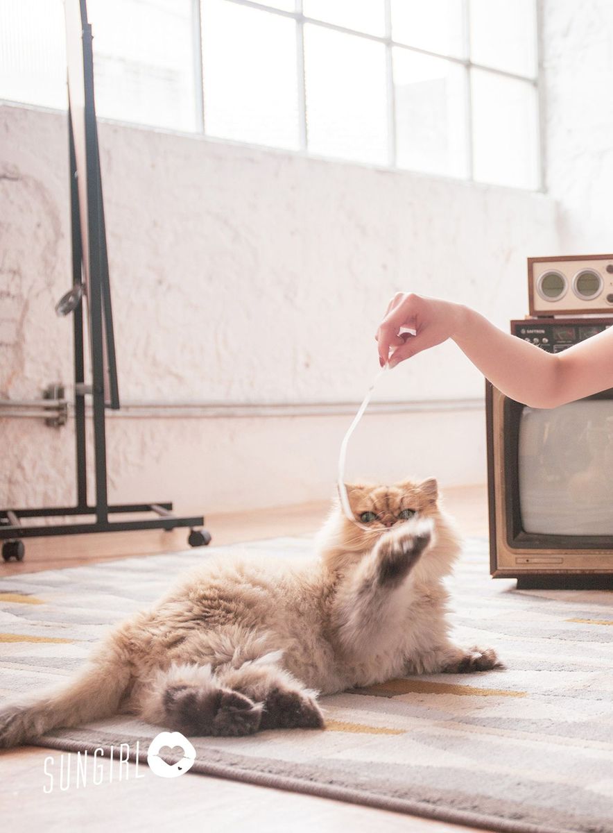 台湾阳光宝贝美女主播黄蔓蔓比基尼爆乳内衣诱惑私房写真