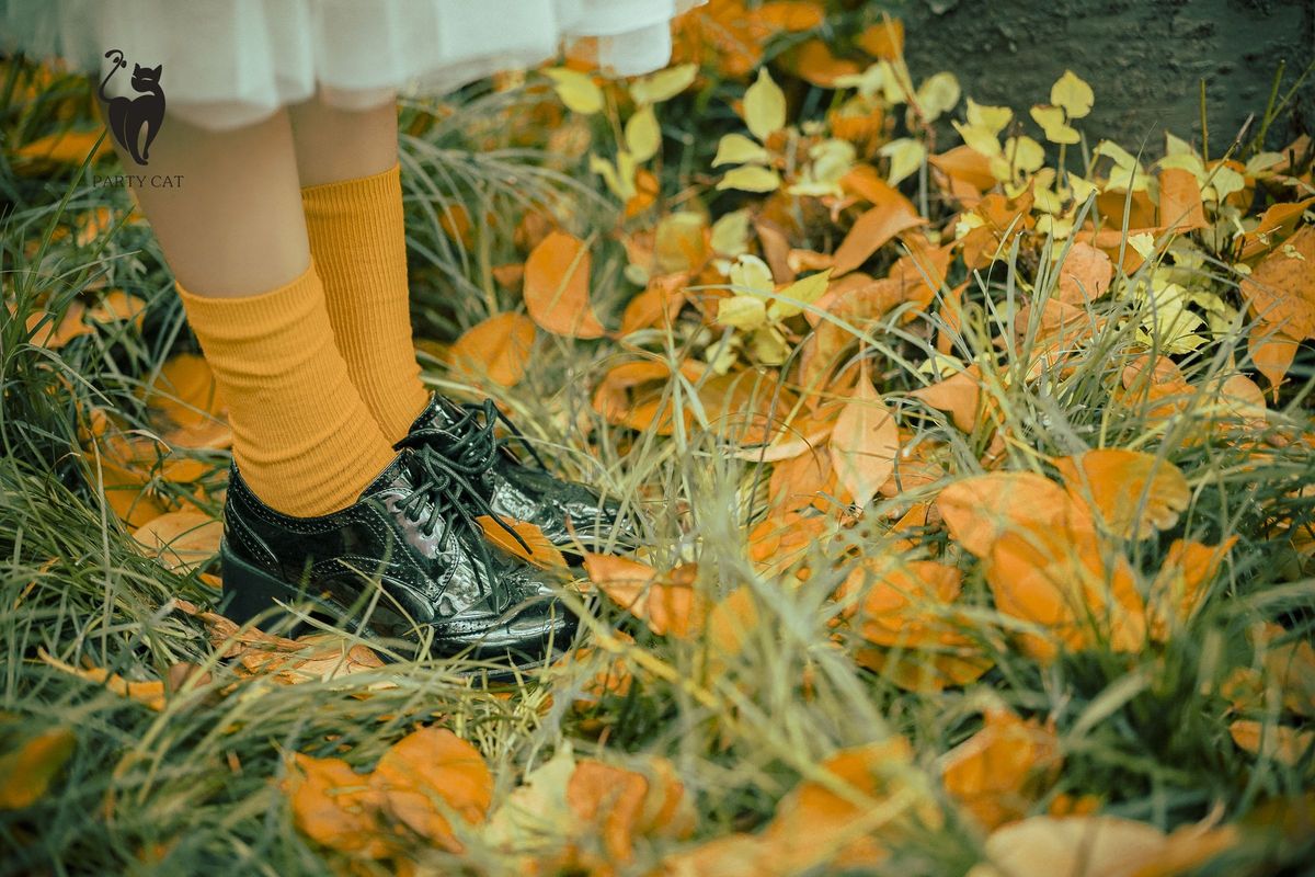 PartyCat轰趴猫美女模特曲曲千娇百媚内衣诱惑室内性感写真