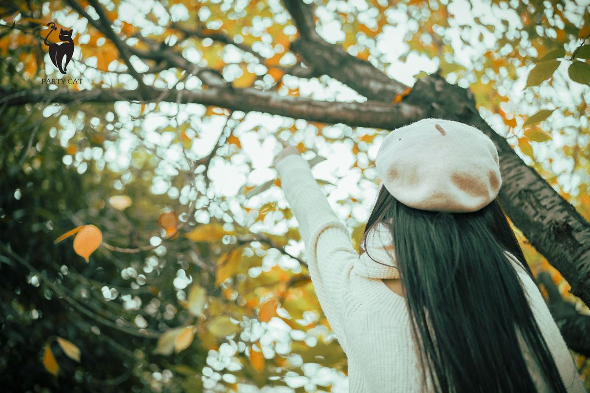 PartyCat轰趴猫美女模特曲曲千娇百媚内衣诱惑室内性感写真